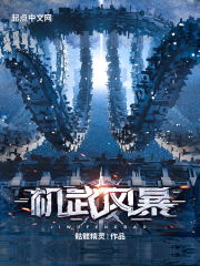 机武风暴 全集txt免费下载